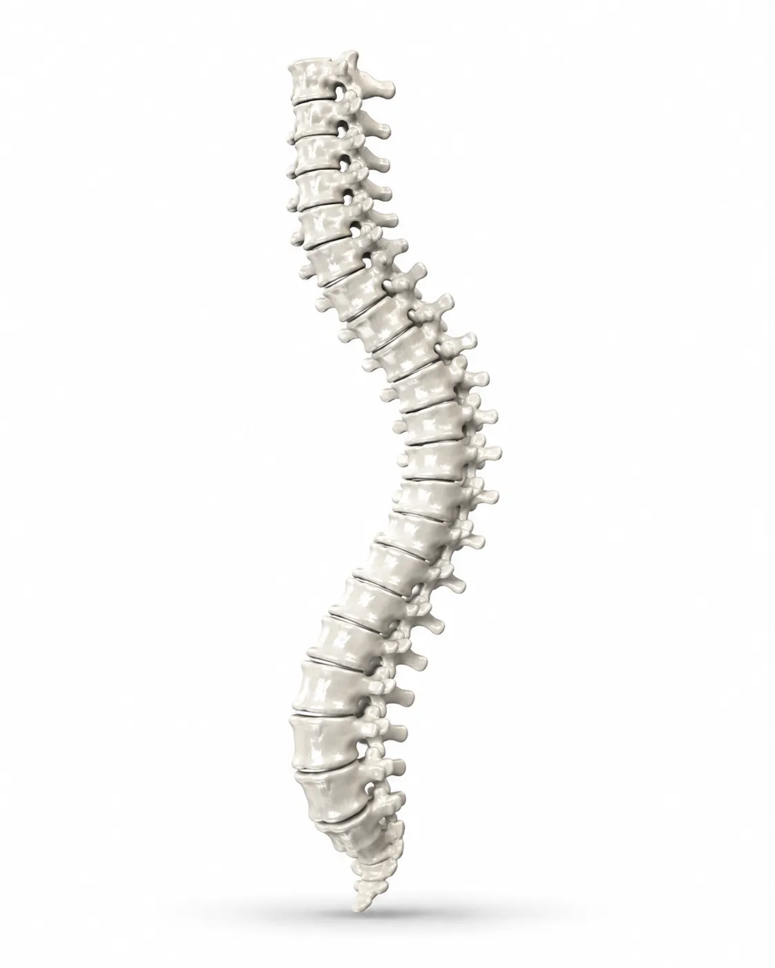 Spinal Deformity spine illustration
